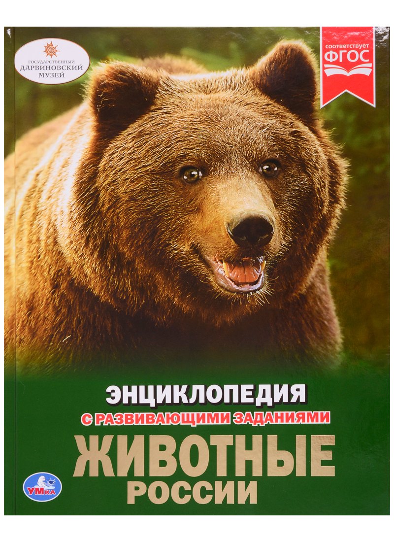 

Животные россии. Энциклопедия с развивающими заданиями