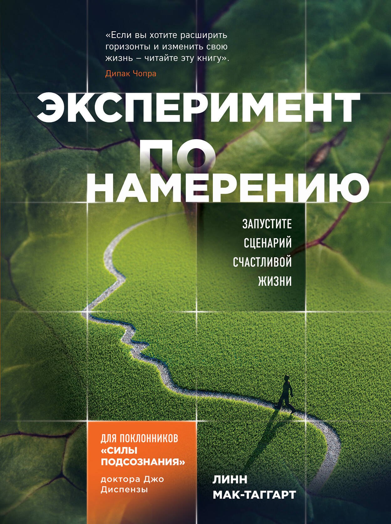 

Эксперимент по намерению. Запустите сценарий счастливой жизни