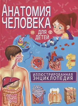 Анатомия человека для детей. Иллюстрированная энциклопедия - купить ...