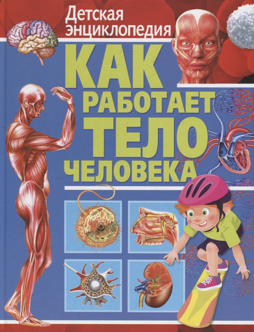Как работает тело человека. Детская энциклопедия тело человека интерактивная детская энциклопедия