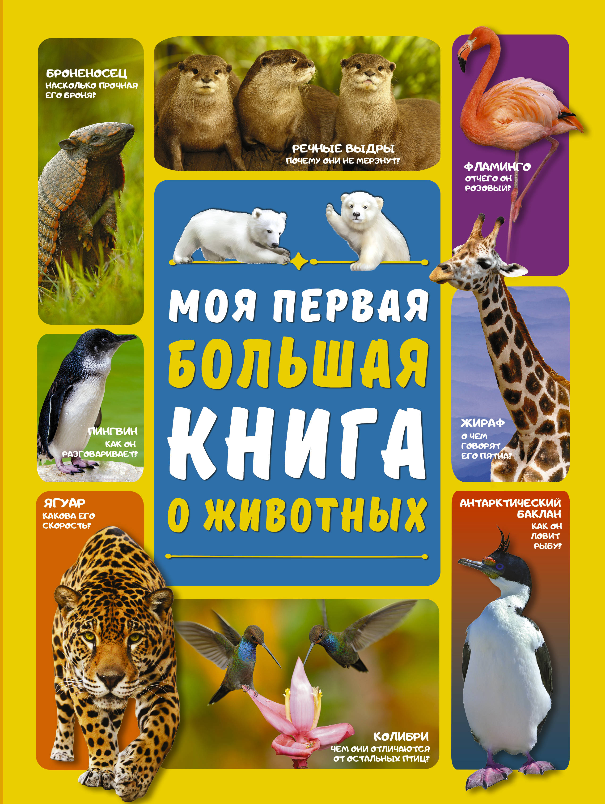 Вайткене Любовь Дмитриевна - Моя первая большая книга о животных