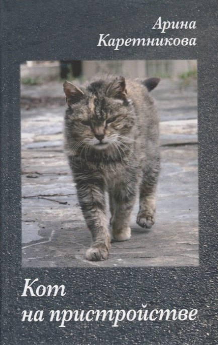 

Кот на пристройстве