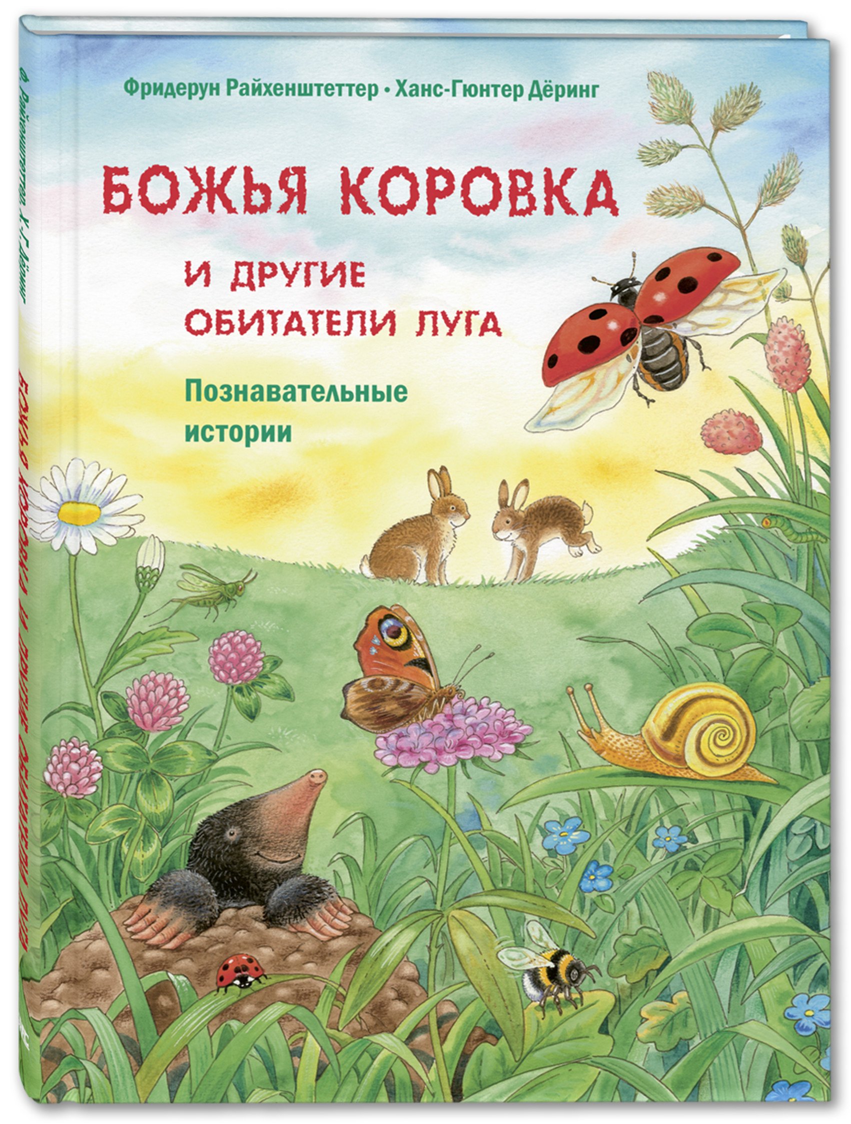 

Божья коровка и другие обитатели луга. Познавательные истории