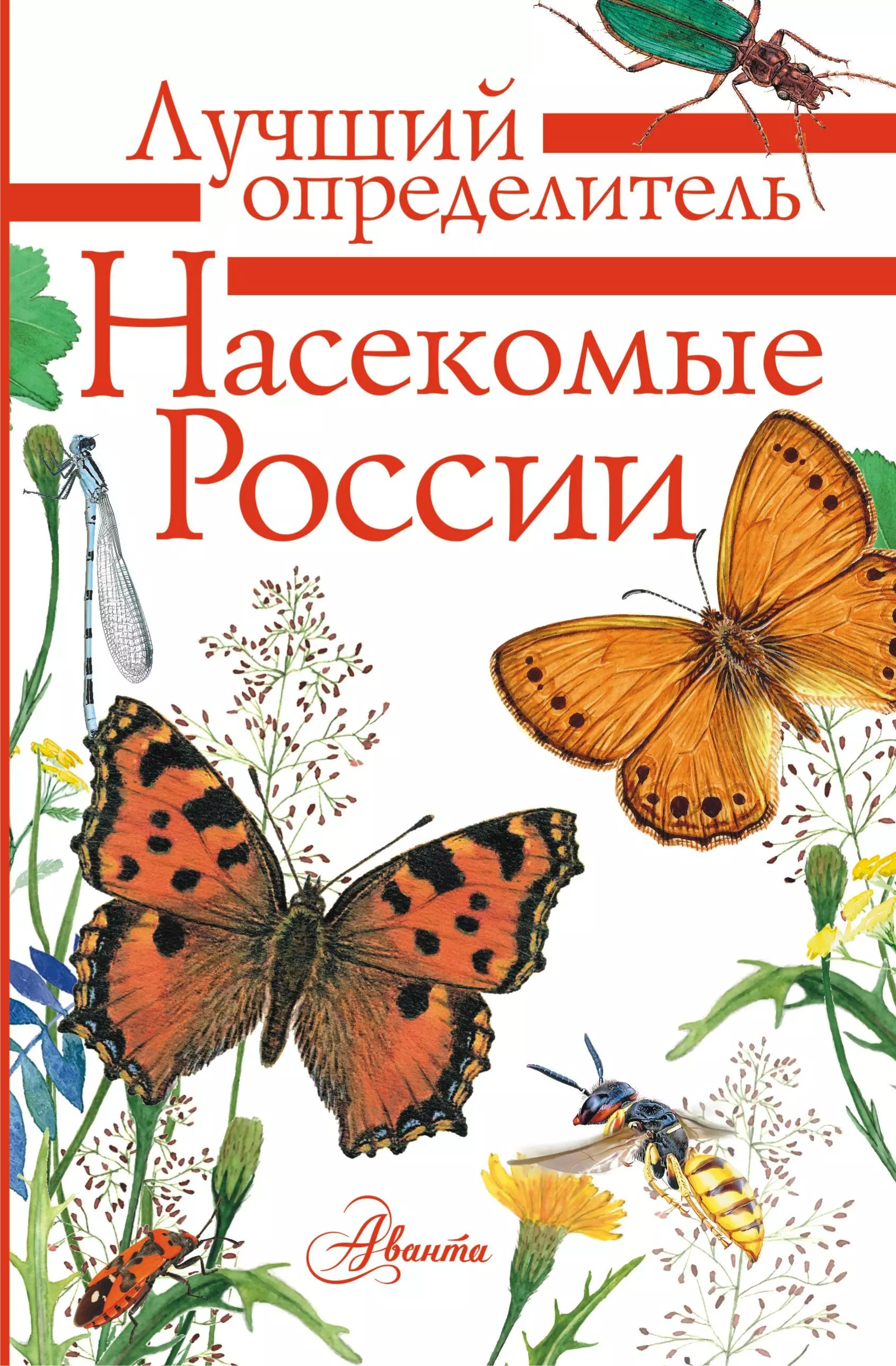 Полевод Владимир Анатольевич, Гомыранов Илья Алексеевич Насекомые России