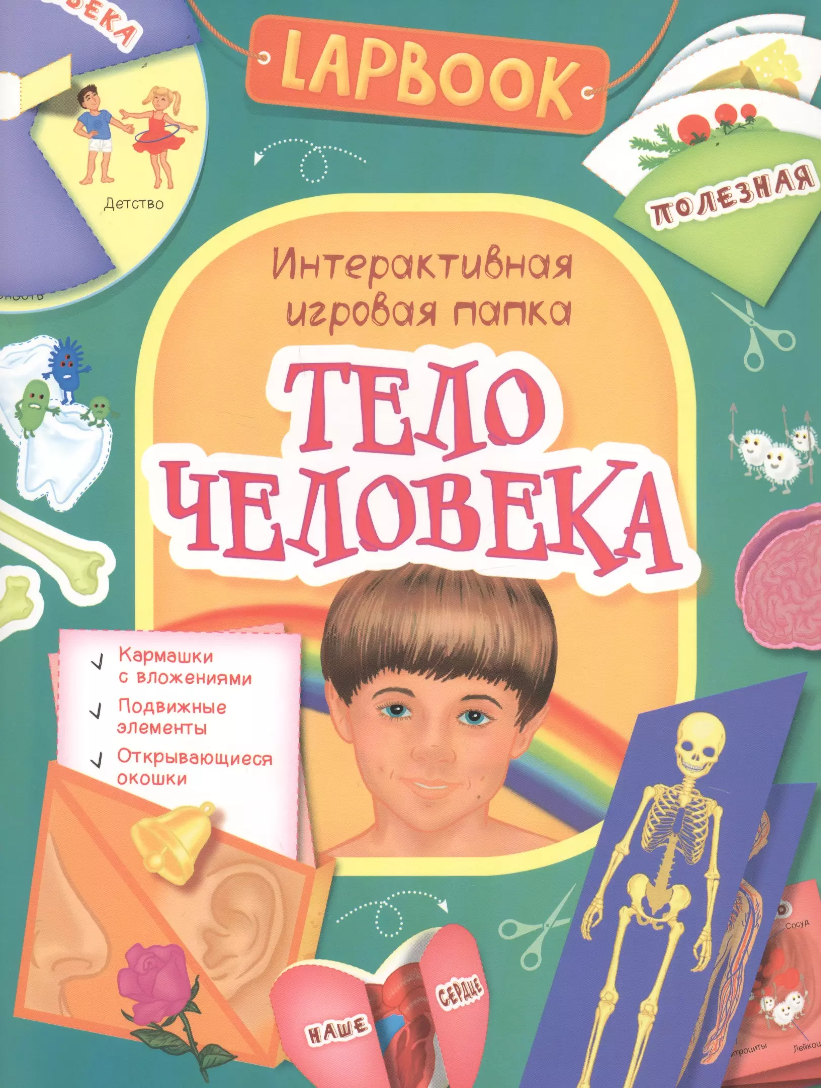 None Тело человека