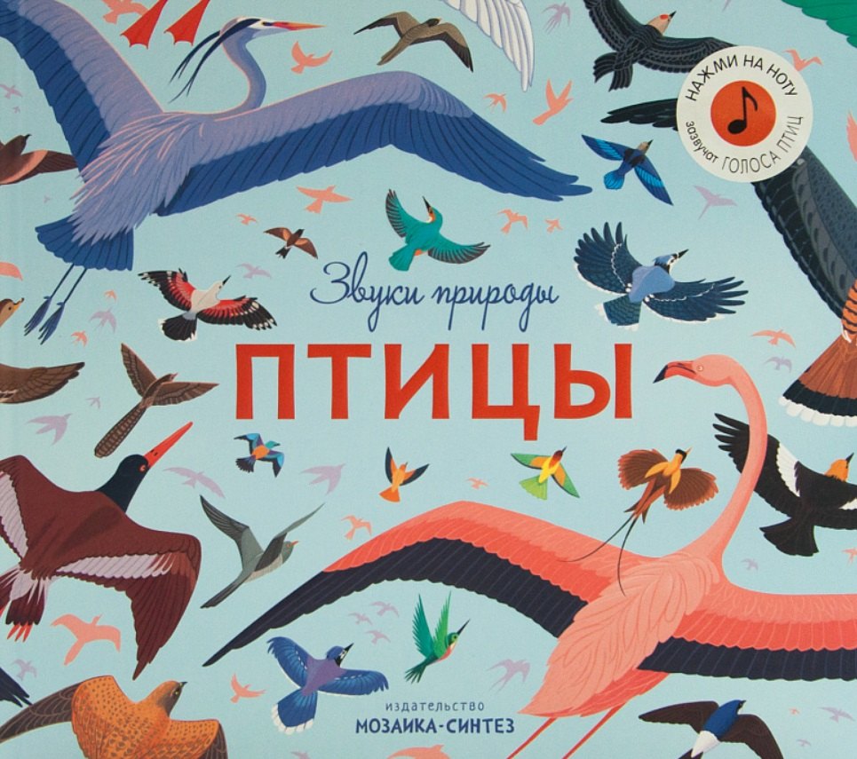 

Звуки природы. Птицы