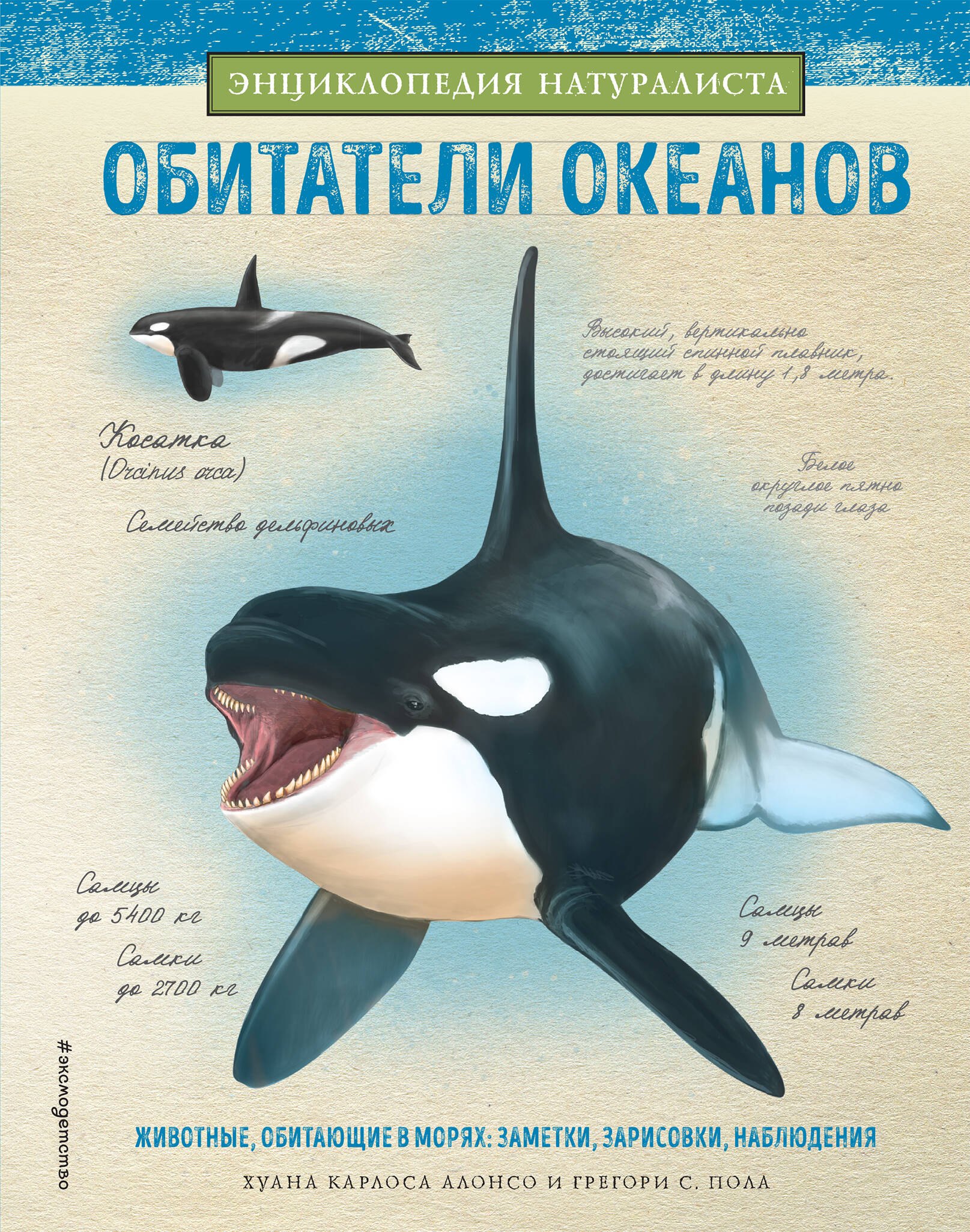 

Обитатели океанов