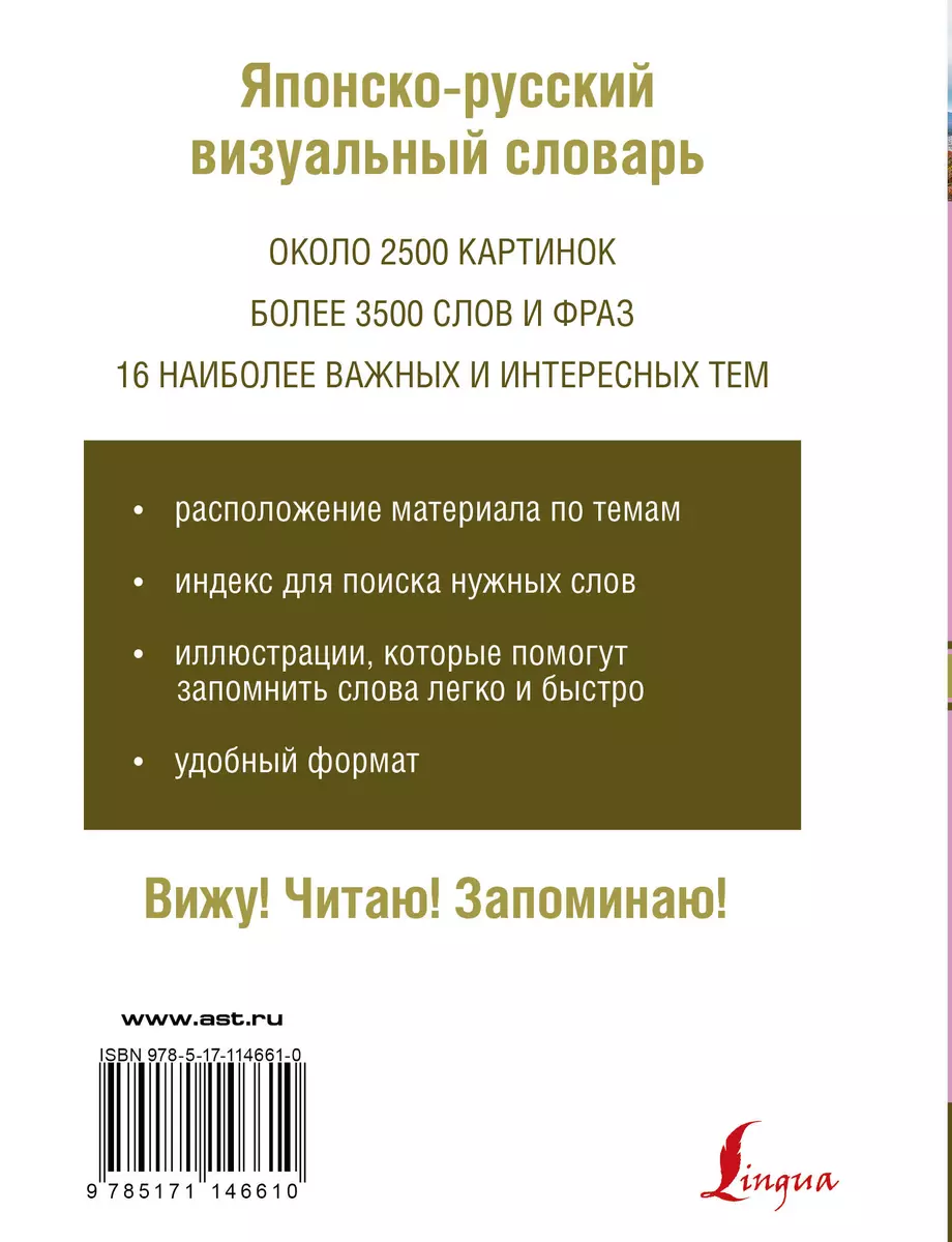 Японско-русский визуальный словарь (Надежда Надежкина) - купить книгу с  доставкой в интернет-магазине «Читай-город». ISBN: 978-5-17-114661-0