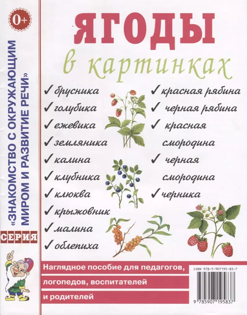 Ягоды в картинках. Наглядное пособие для педагогов, логопедов, воспитателей и родителей