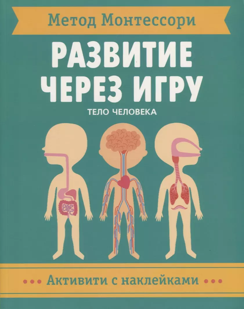 

Метод Монтессори. Развитие через игру. Тело человека. Активити с наклейками