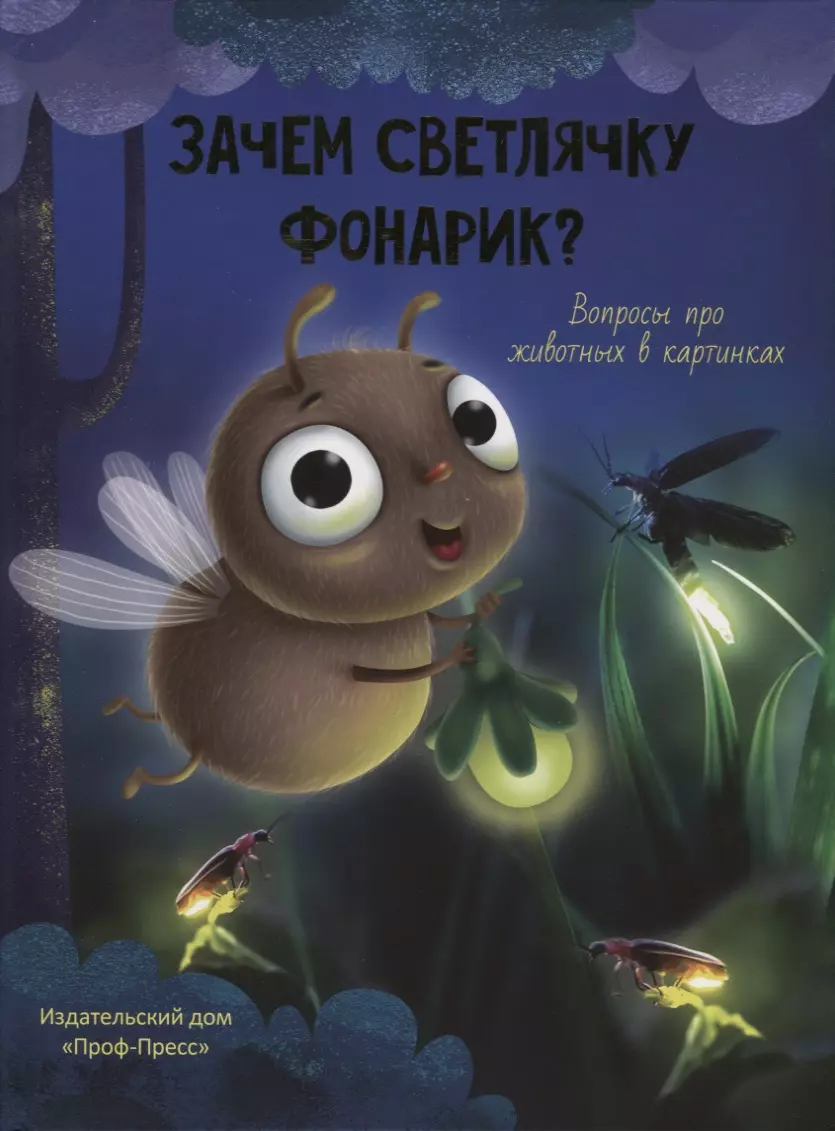 Аверкиев Василий ЗАЧЕМ СВЕТЛЯЧКУ ФОНАРИК? глянц.ламин.обл, тиснение, мелов. бум.  215х290