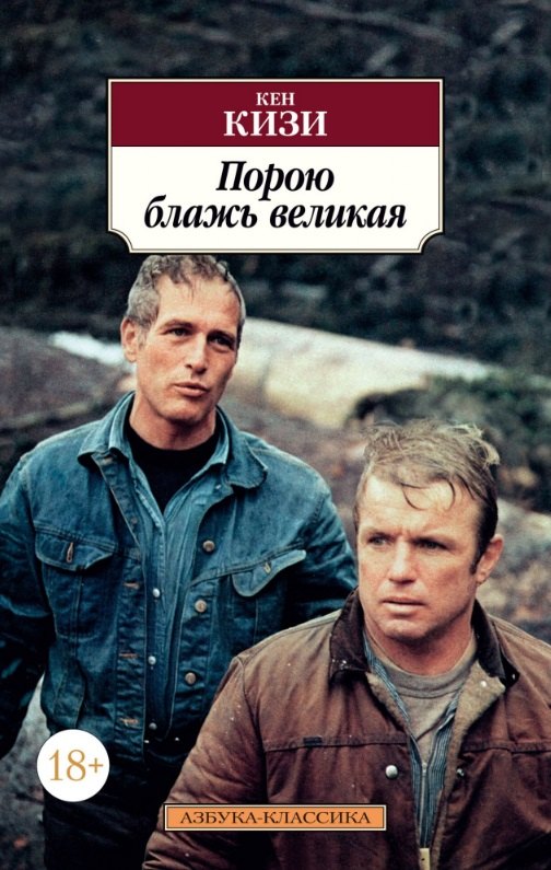 

Порою блажь великая. Роман