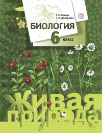 Электронное приложение к учебнику «Информатика» для 5 класса (УМК Босова Л.Л. и др. кл.)