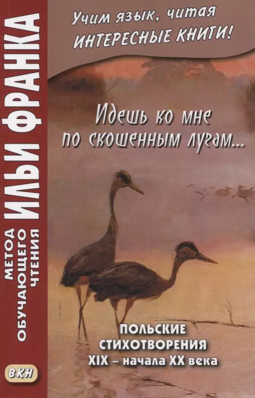 Идешь ко мне по скошенным лугам… Польские стихотворения XIX — начала XX века