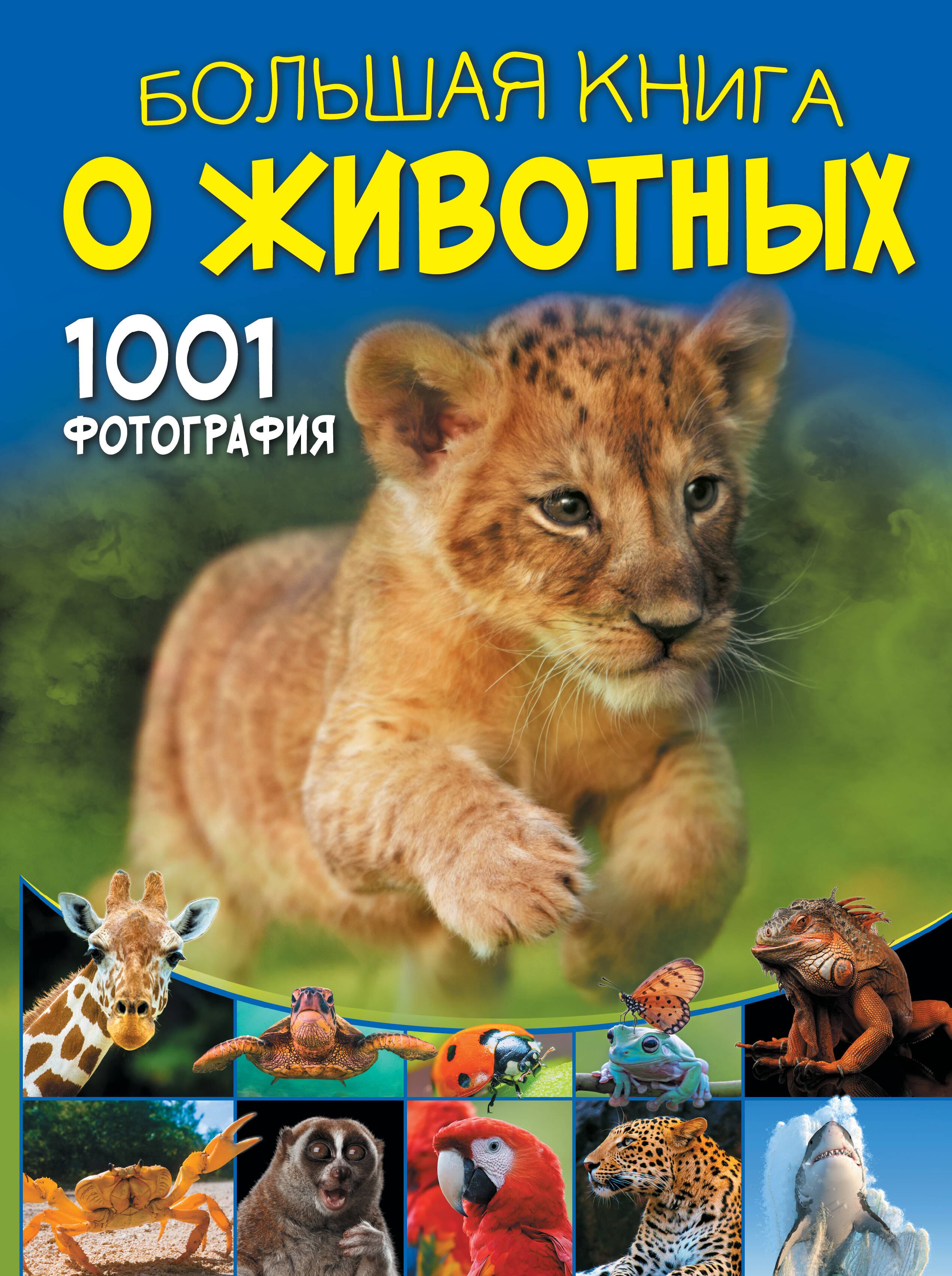 Ермакович Дарья Ивановна - Большая книга о животных. 1001 фотография