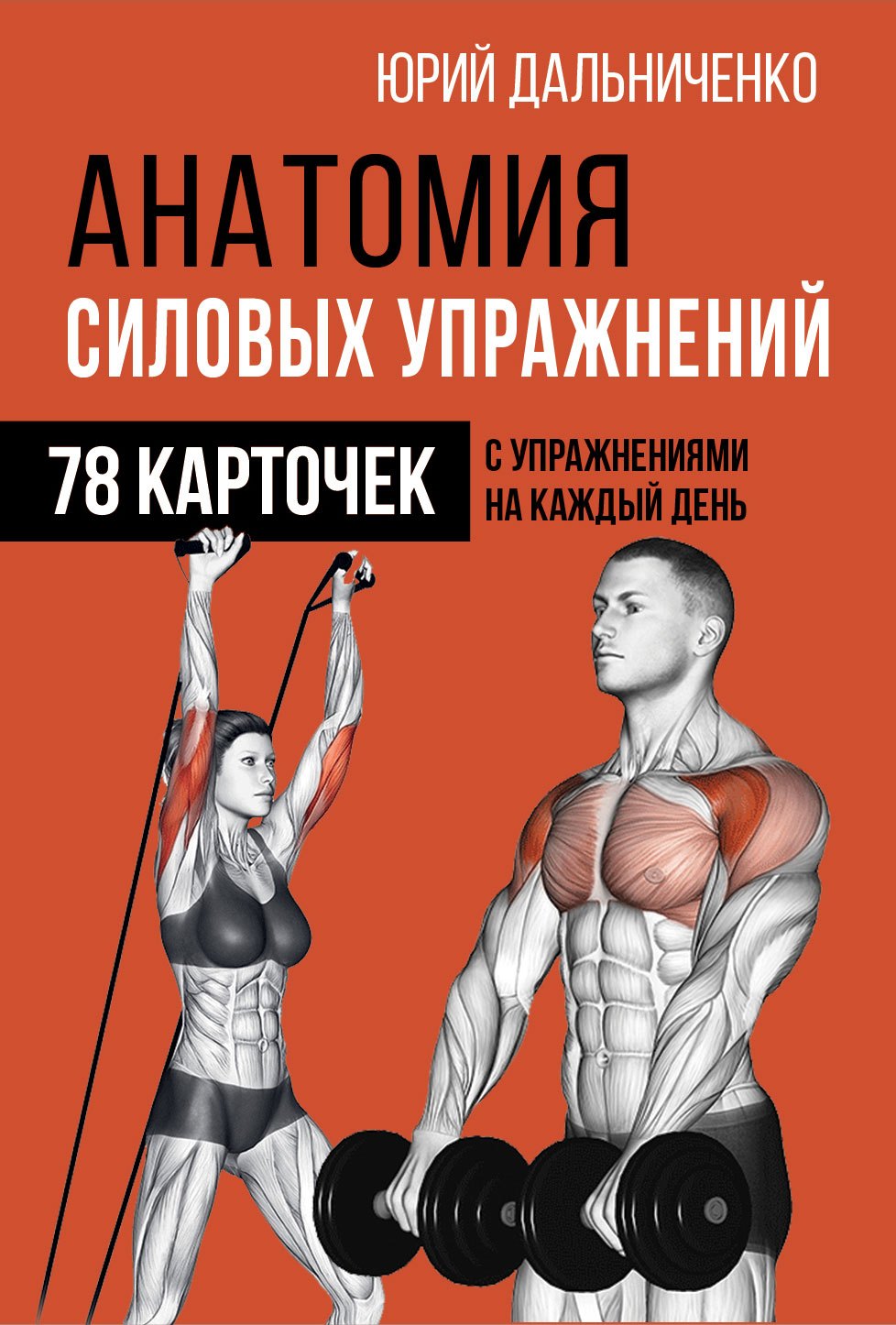 

Анатомия силовых упражнений. 78 карточек с упражнениями на каждый день