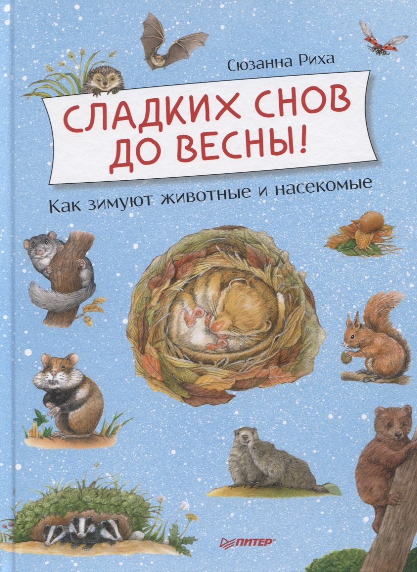 

Сладких снов до весны! Как зимуют животные и насекомые