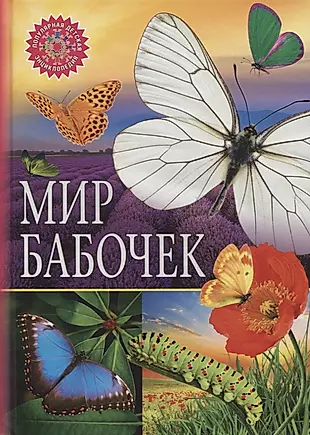 Мир бабочек — 2762556 — 1