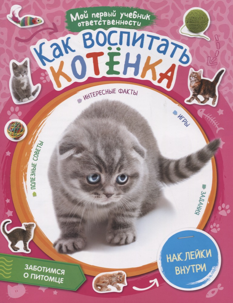 Как правильно воспитывать котенка. Книги о воспитании кошек. Котенок с книгой. Мой первый учебник ответственности. Воспитание котенка.