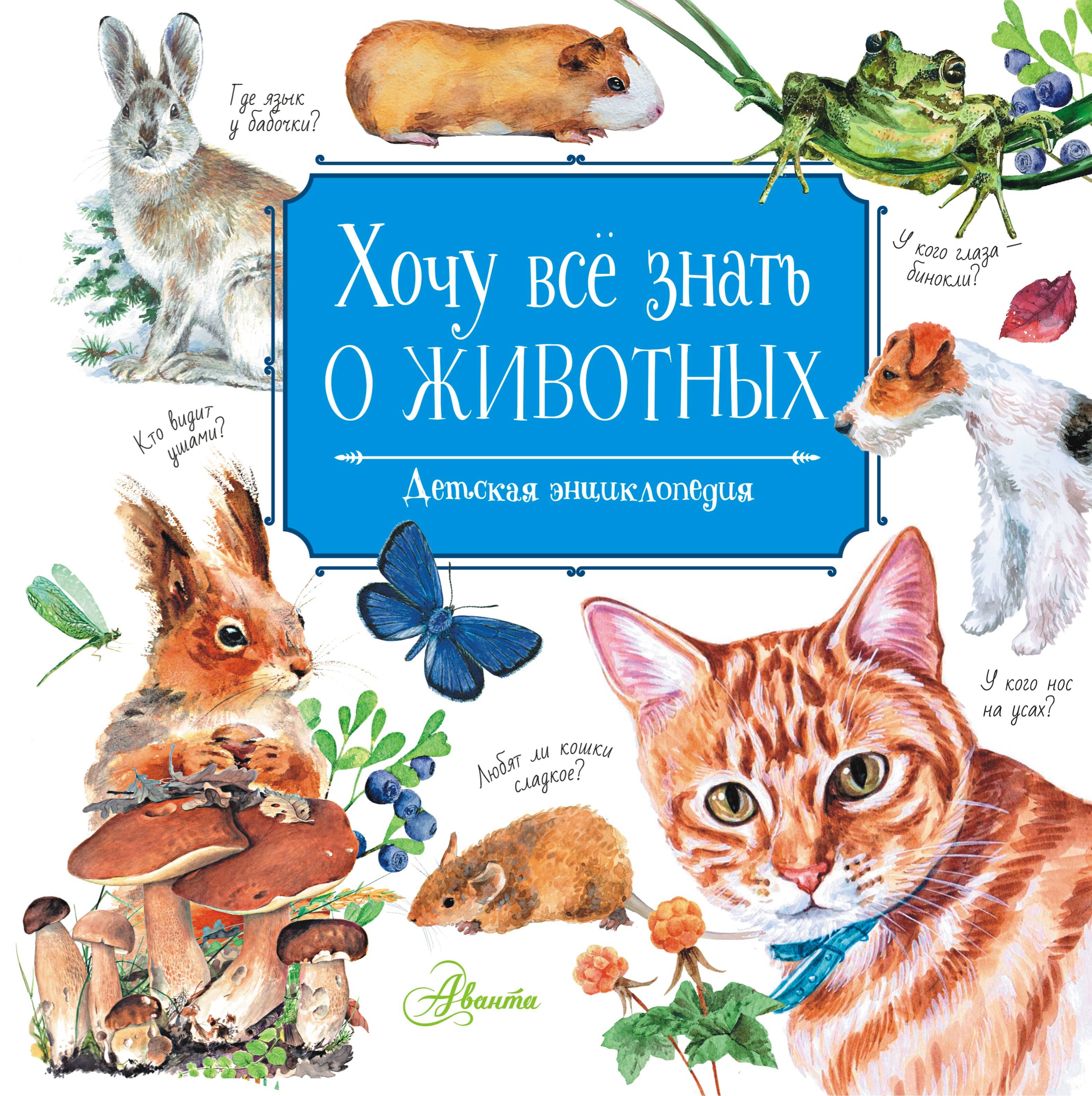 Хочу все знать о животных. Детская энциклопедия удивительные животные хочу все знать энциклопедия а5