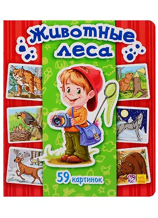 Животные леса. 59 картинок - купить книгу с доставкой в интернет ...