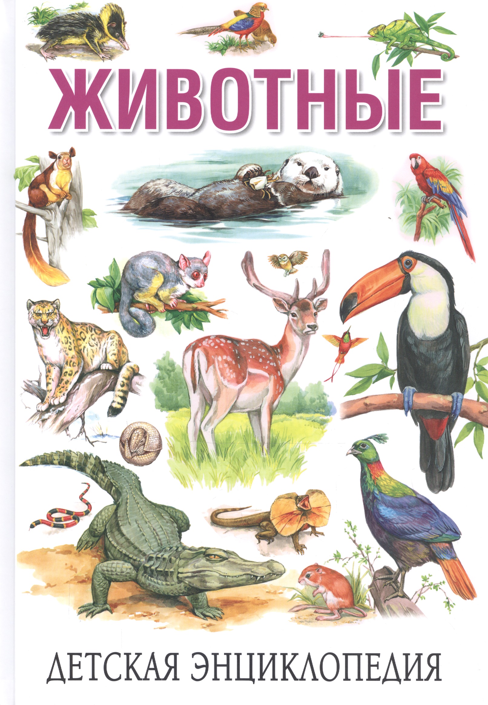 Животные. Детская энциклопедия животные мира детская энциклопедия