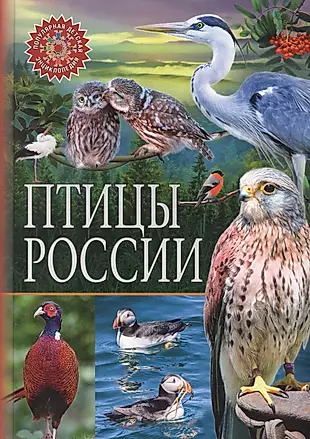 Птицы России. Популярная детская энциклопедия — 2767426 — 1