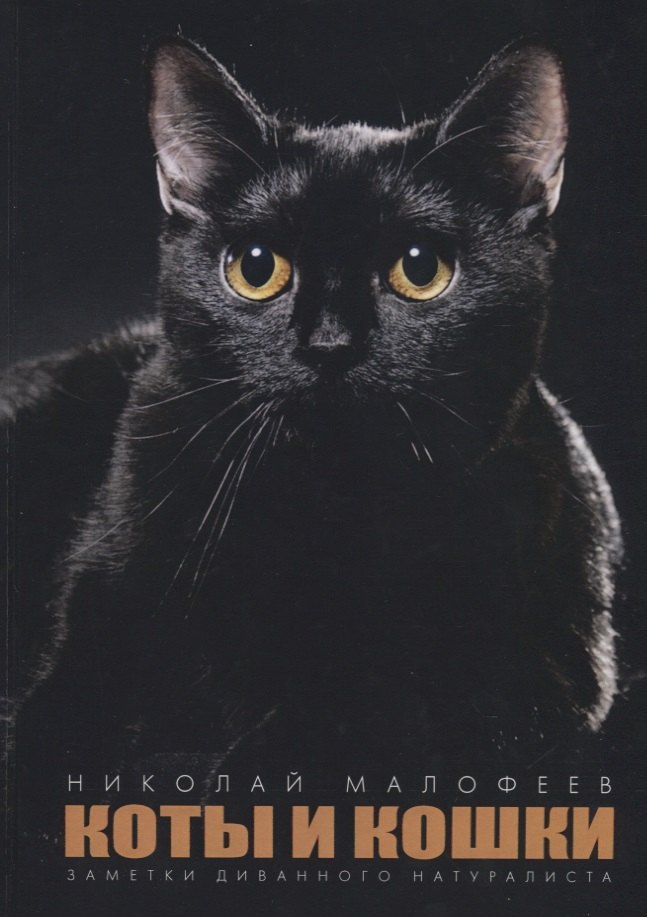 

Коты и Кошки. Заметки диванного натуралиста