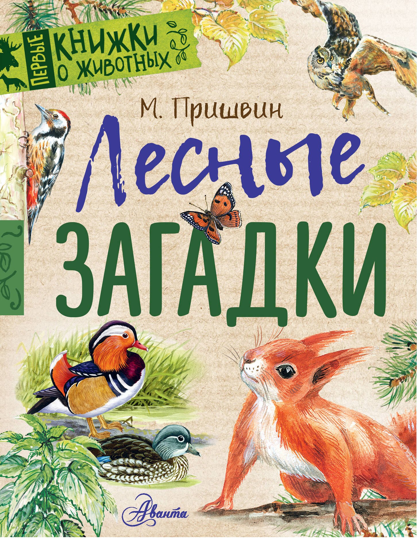 

Лесные загадки