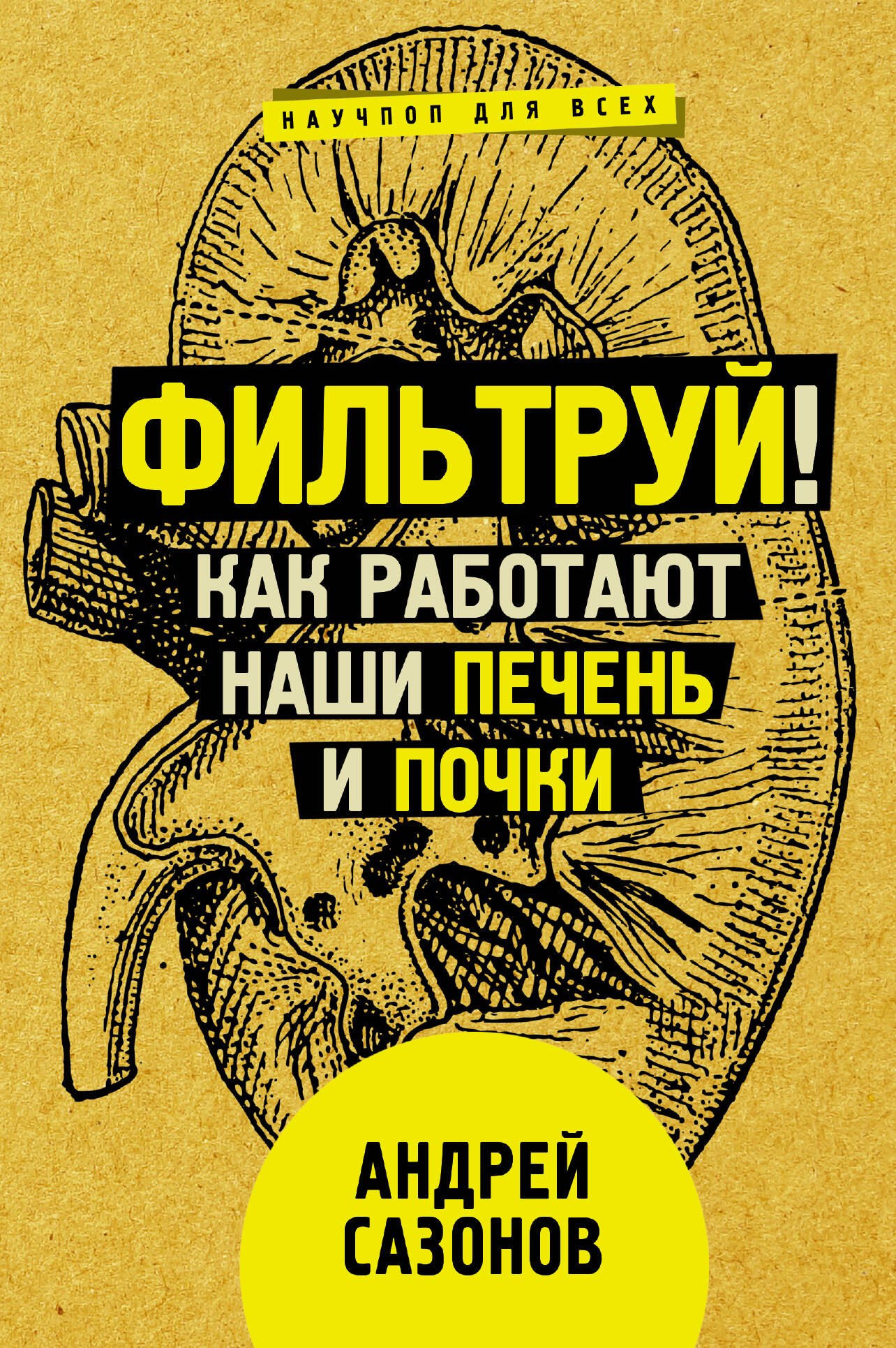 

Фильтруй! Как работают наши печень и почки