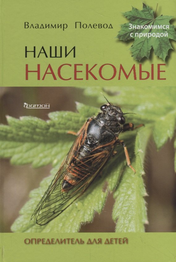 

Наши насекомые. Определитель для детей