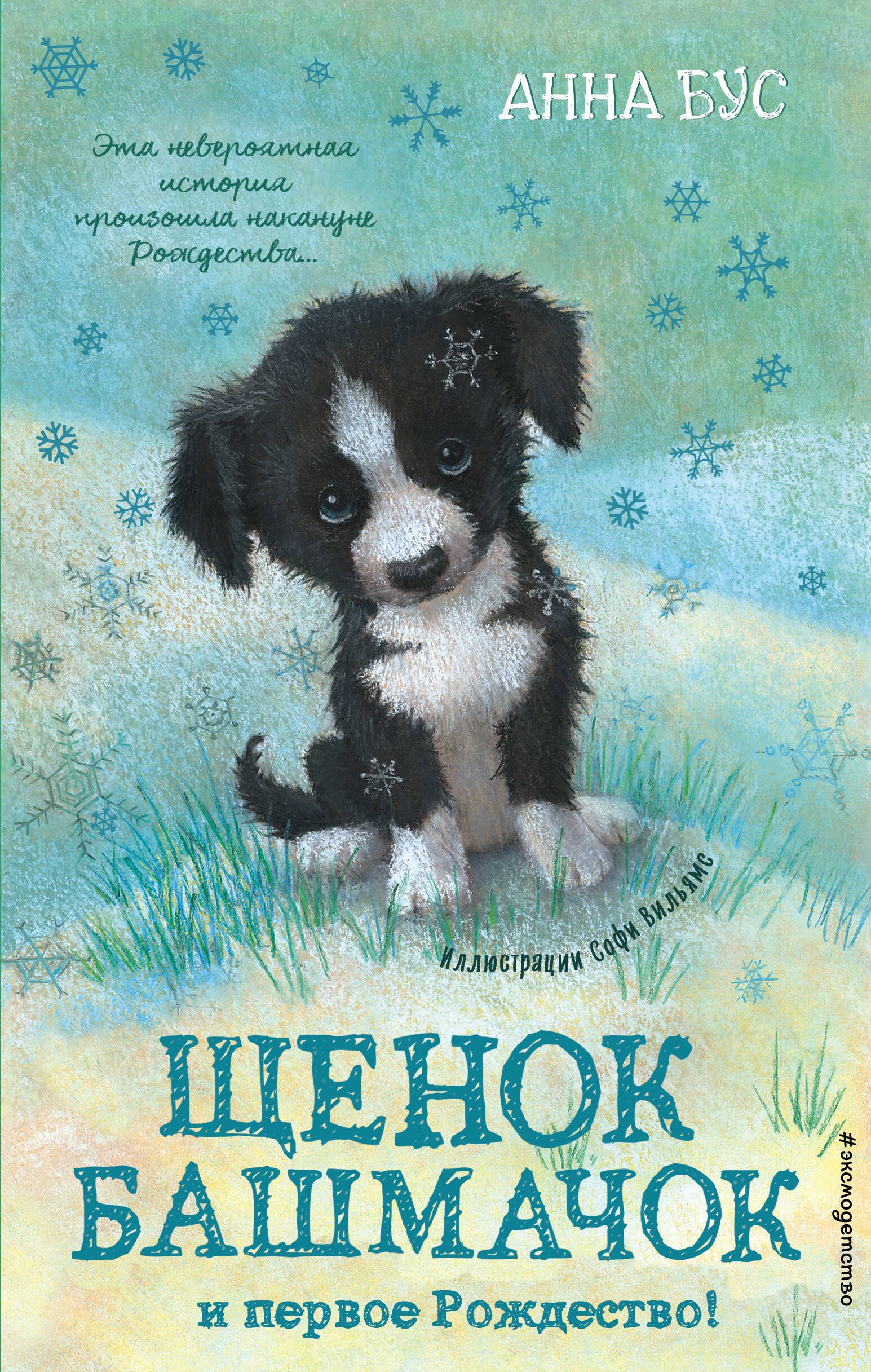 

Щенок Башмачок и первое Рождество! (#5)