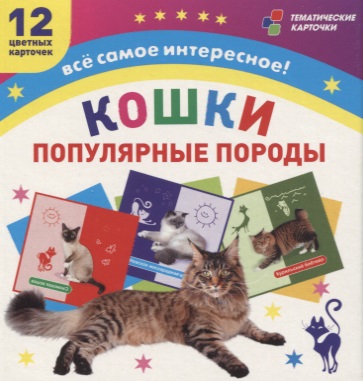 Кошки. Популярные породы. 12 цветных карточек. Всё самое интересное! Набор для занятий с детьми кошка