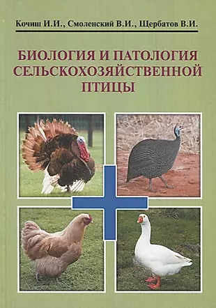 Биология и патология сельскохозяйственной птицы. Учебник — 2780067 — 1
