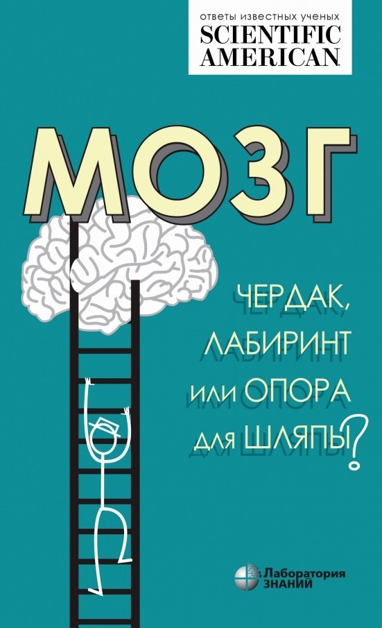 

Мозг: чердак, лабиринт или опора для шляпы