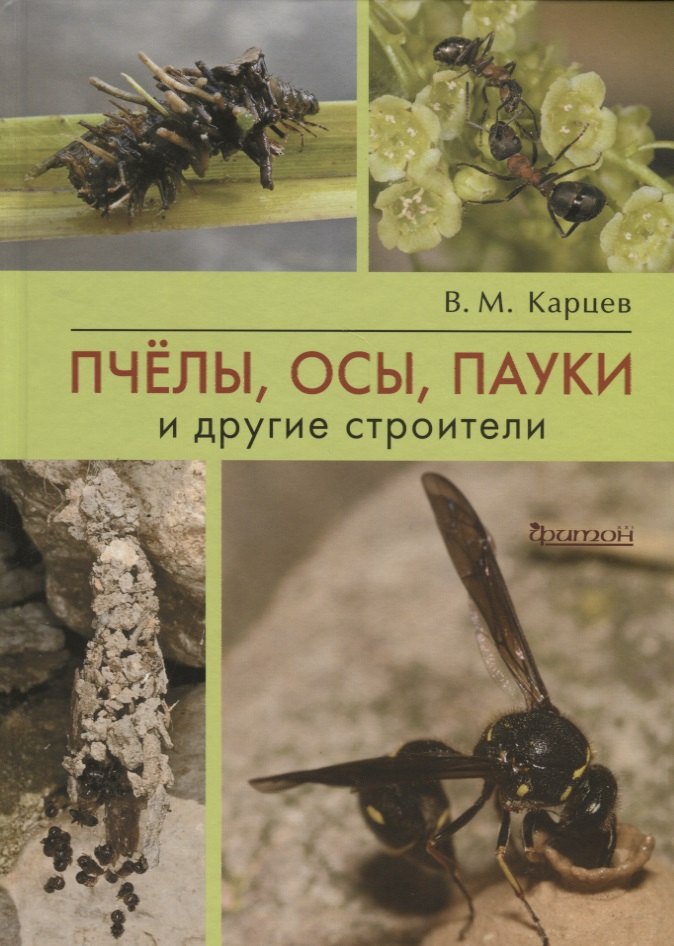 

Пчелы, осы, пауки и другие строители