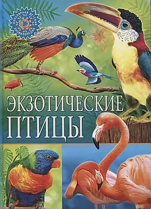 Экзотические птицы — 2788384 — 1