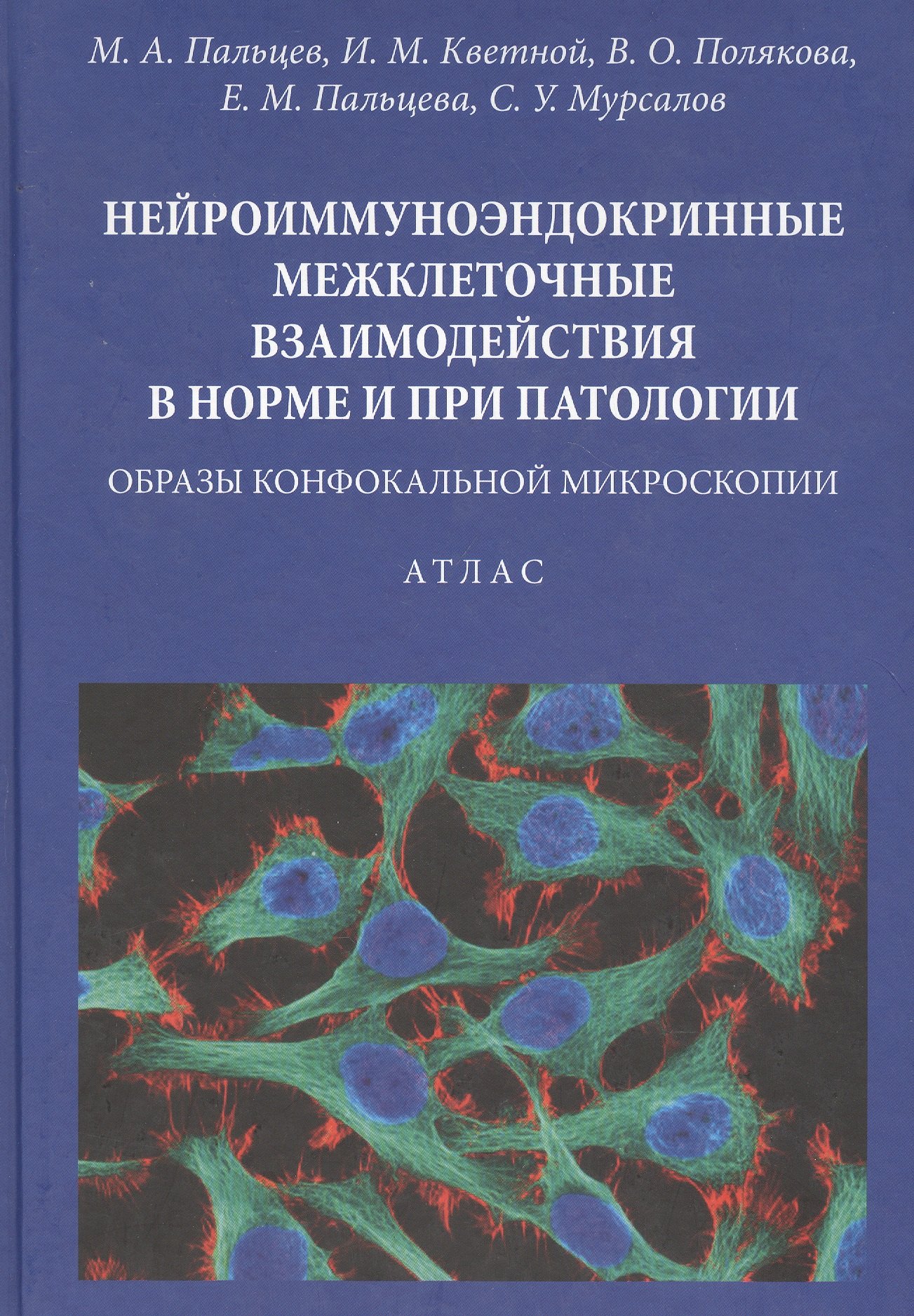 

Нейроиммуноэндокринные межклеточные взаимодействия в норме и при патологии. Образы конфокальной микроскопии. Атлас