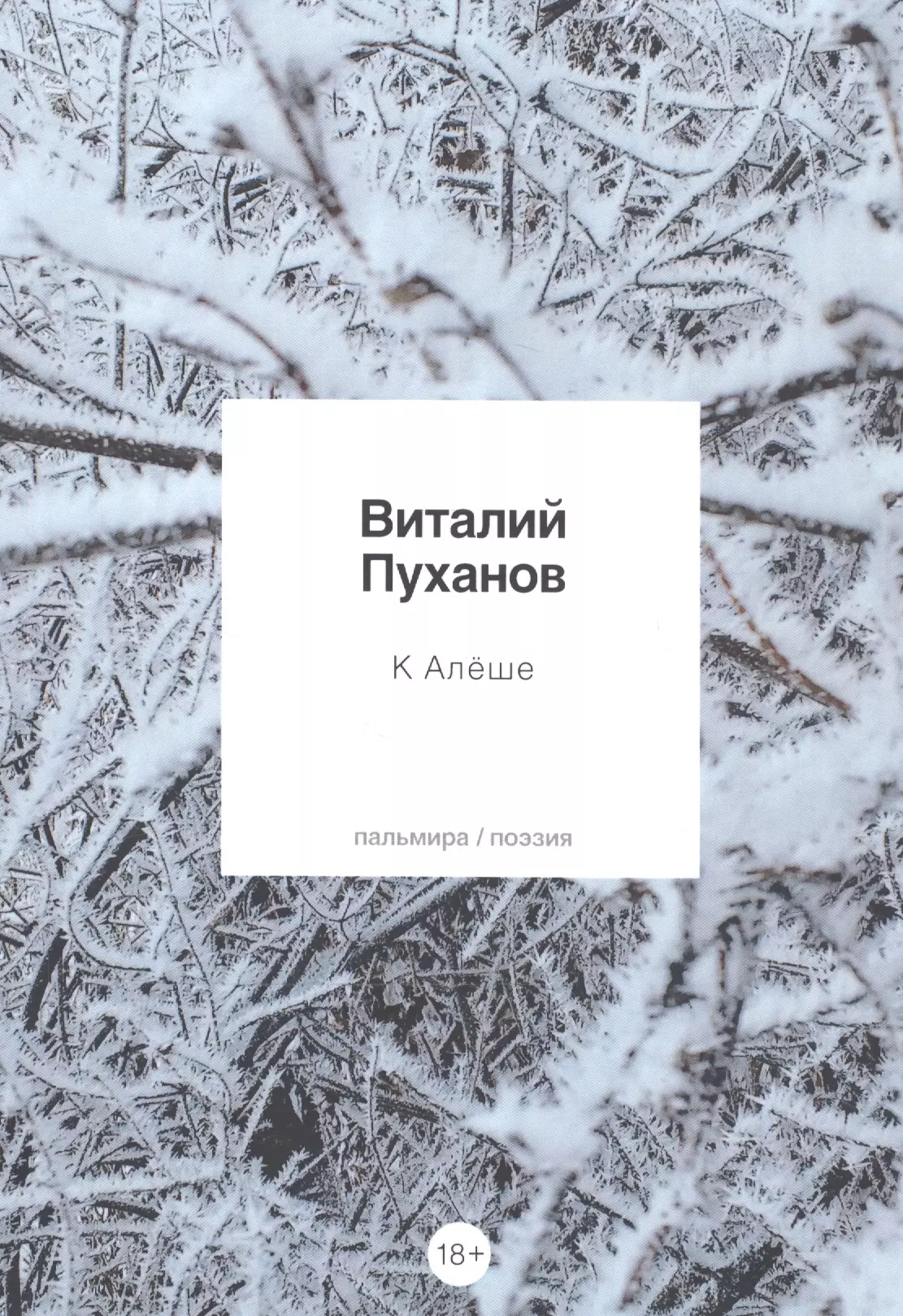 Пуханов Виталий К Алеше: стихотворения пуханов виталий владимирович к алеше стихотворения