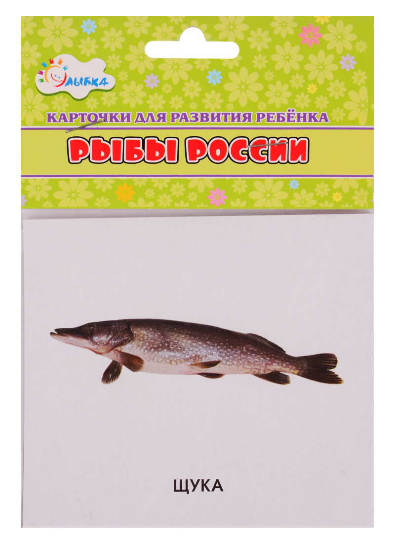 Карточки для развития ребенка Рыбы России