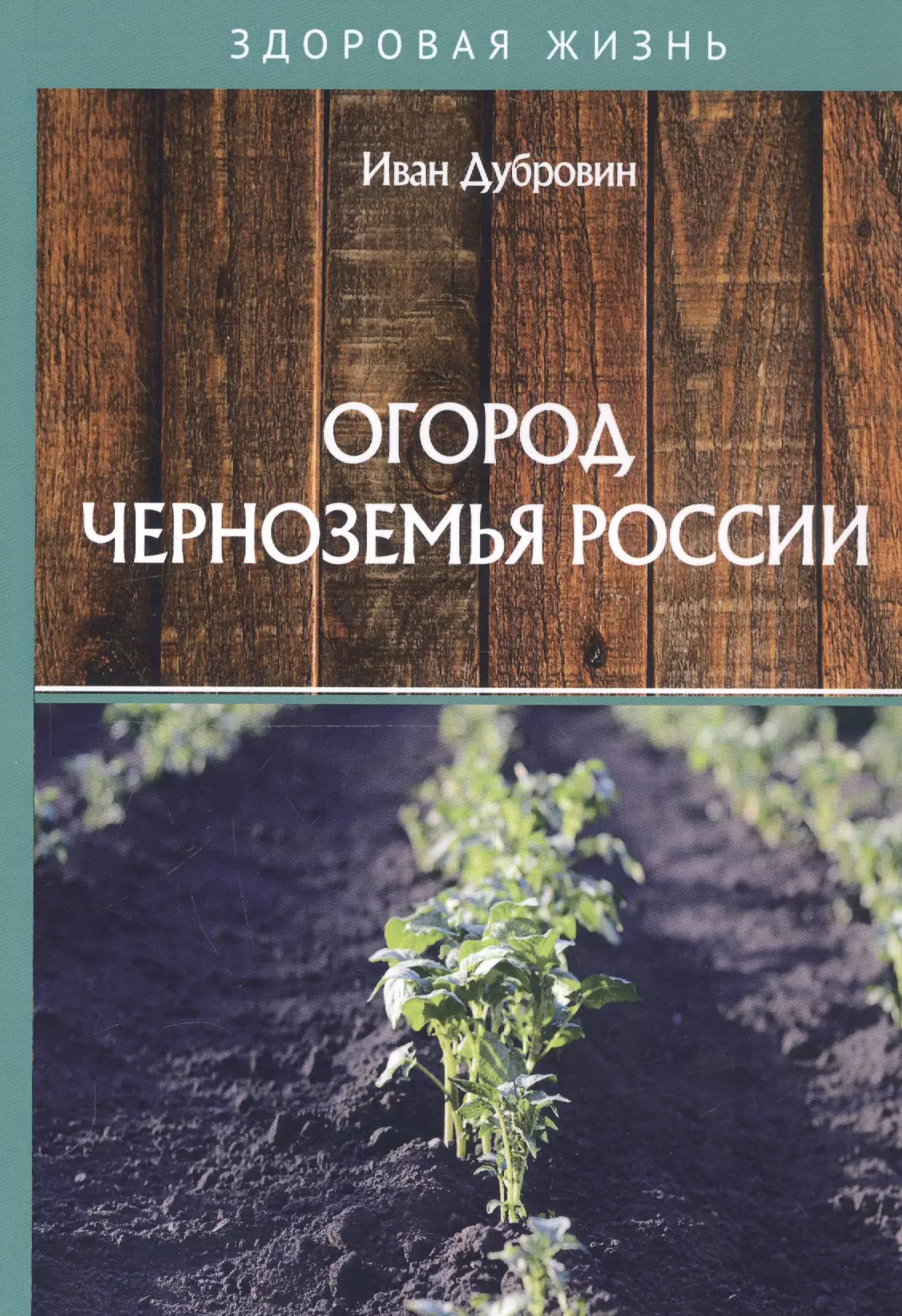 Дубровин Иван Ильич - Огород Черноземья России