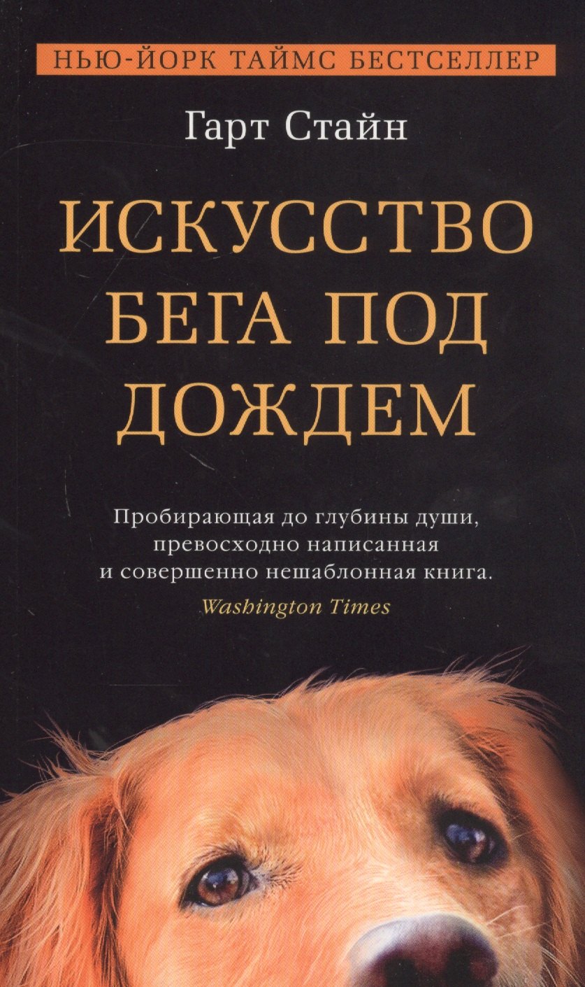 

Искусство бега под дождем
