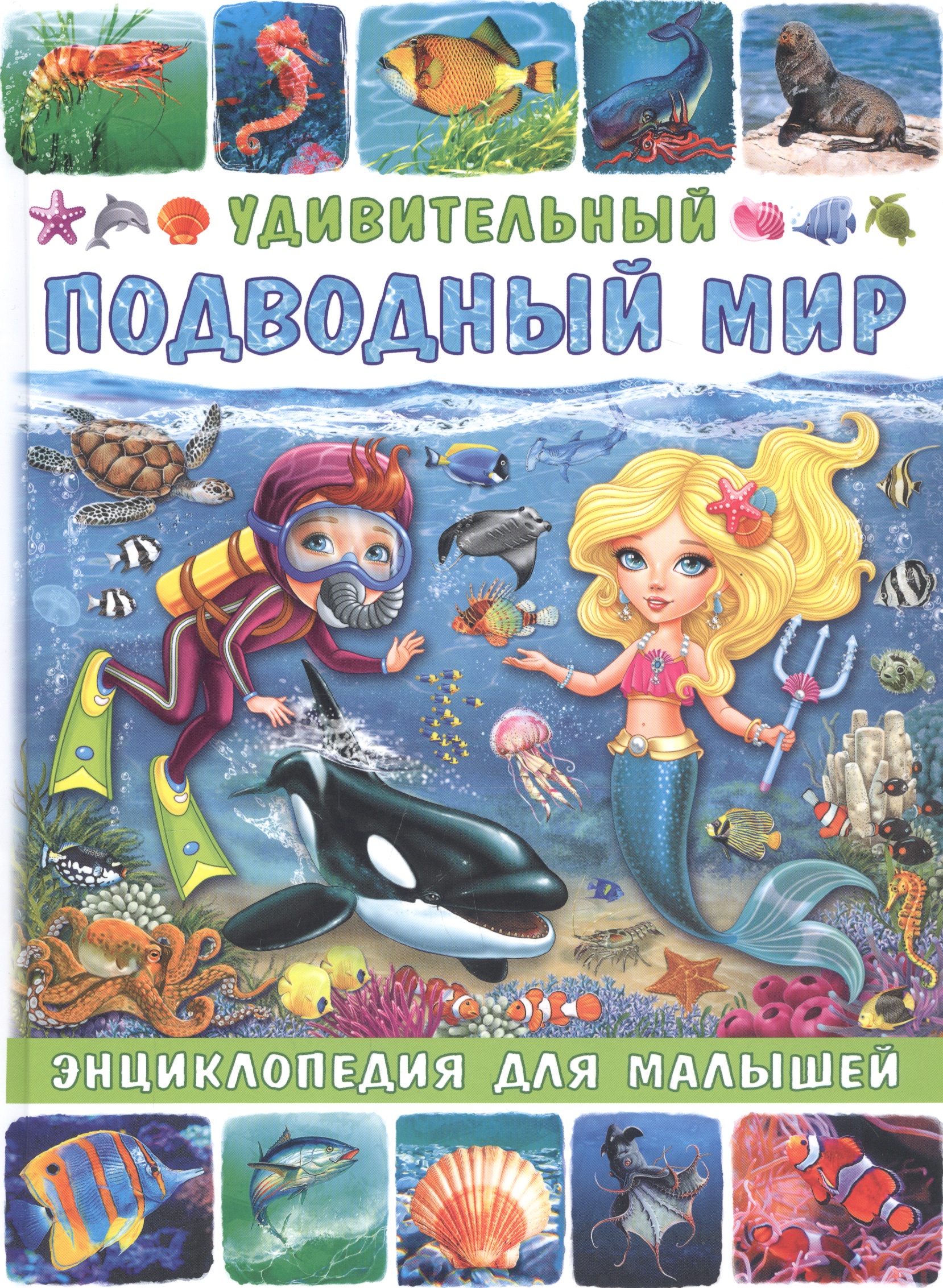 Удивительный подводный мир. Энциклопедия для малышей забирова а удивительный подводный мир энциклопедия для малышей