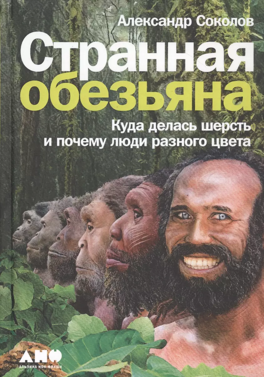 Странная обезьяна: Куда делась шерсть и почему люди разного цвета  (Александр Соколов) - купить книгу с доставкой в интернет-магазине  «Читай-город». ISBN: 978-5-00-139302-3