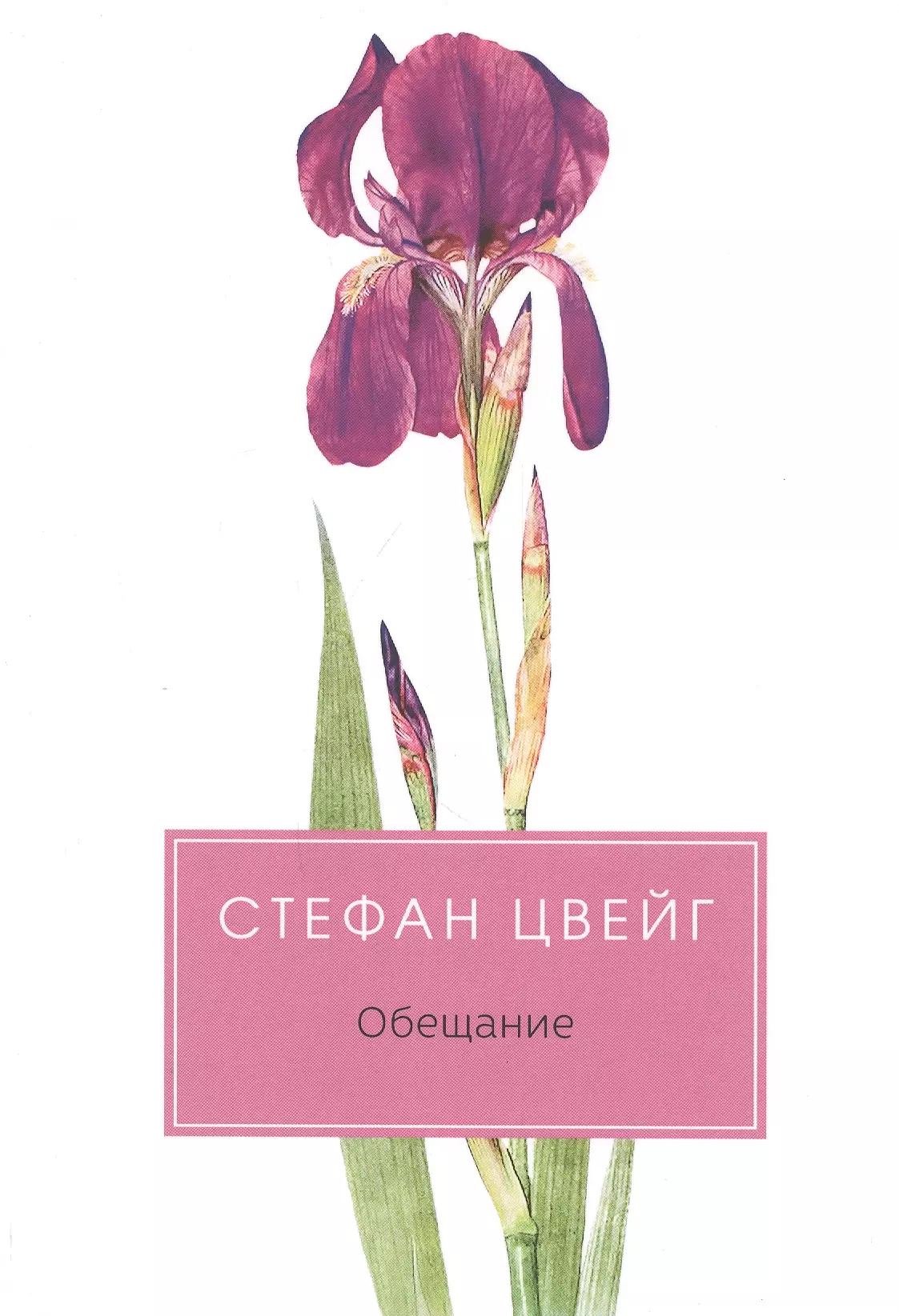 Цвейг с. "обещание. Сборник". Книга обещаний.