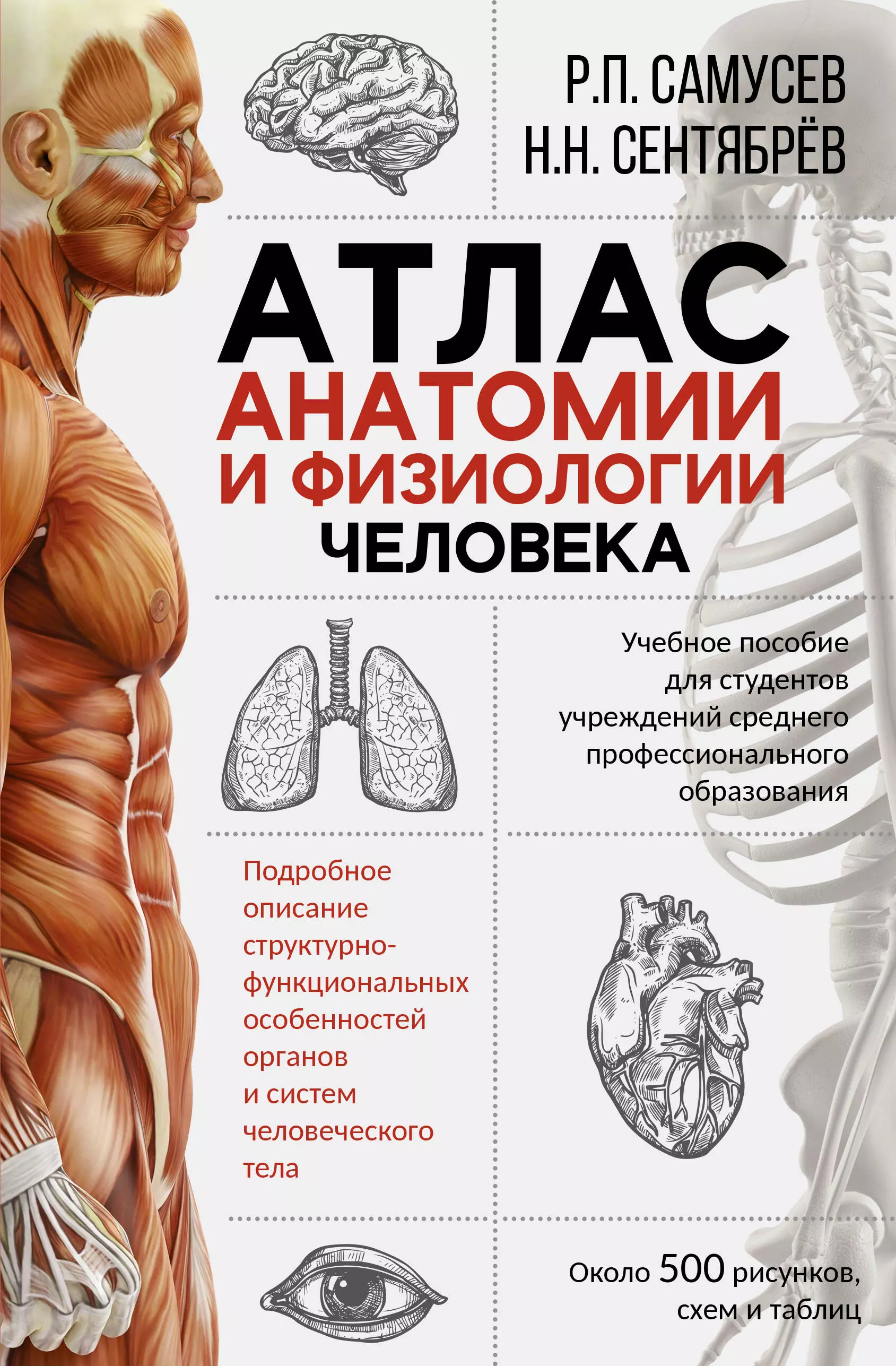 Самусев Рудольф Павлович Атлас анатомии и физиологии человека. Учебное пособие для студентов учреждений среднего профессионального образования