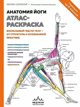 Анатомия йоги: атлас-раскраска. Визуальный гид по телу - от структуры к осознанной практике — 2813089 — 1