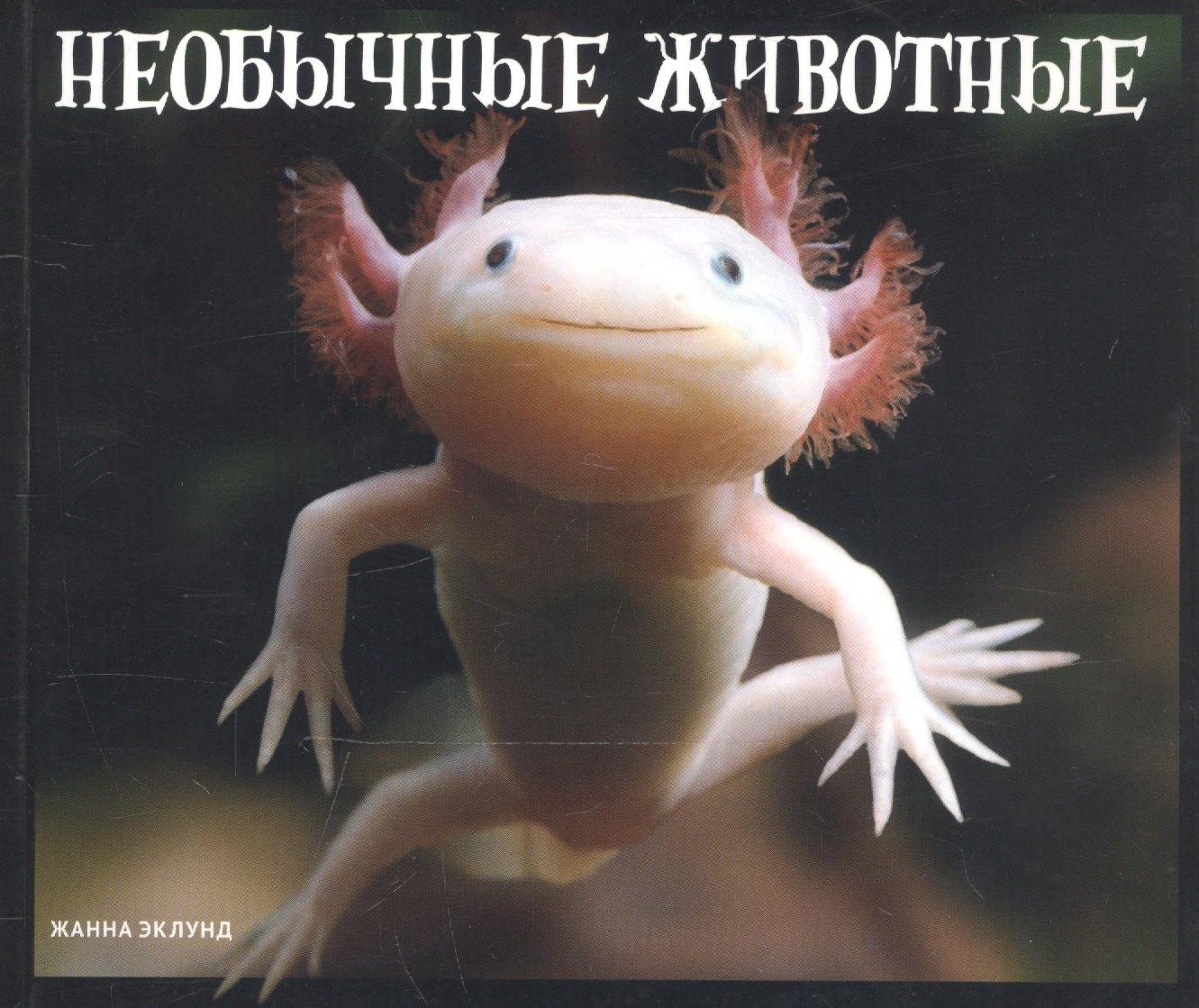 

Необычные животные