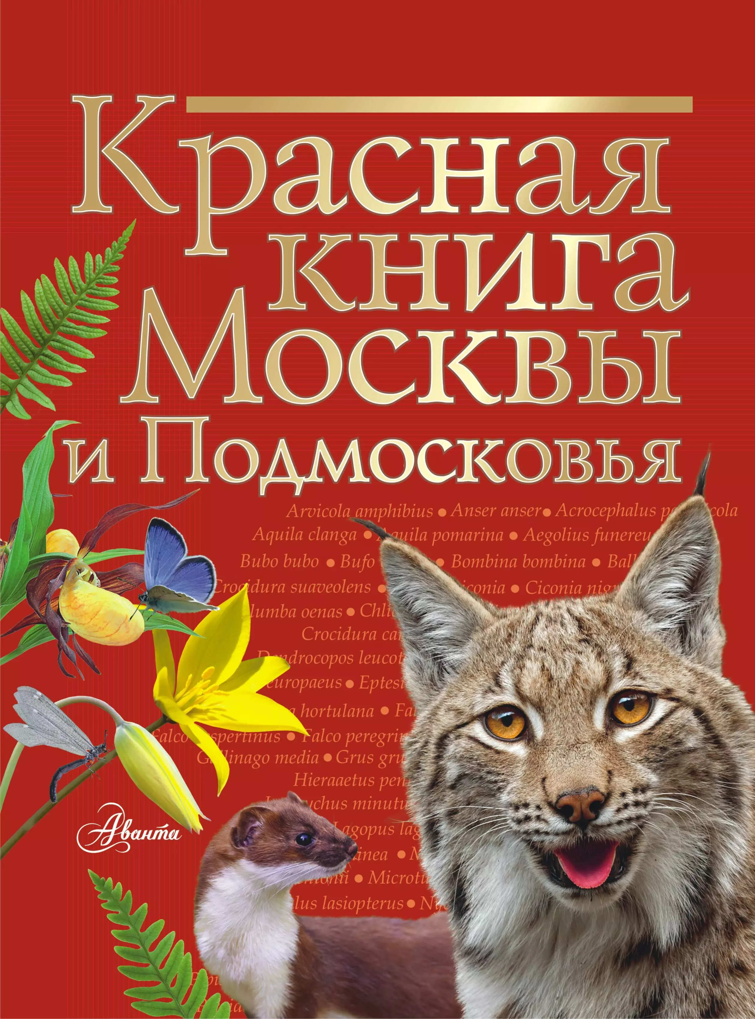 Аакер Дэвид Красная книга Москвы и Подмосковья