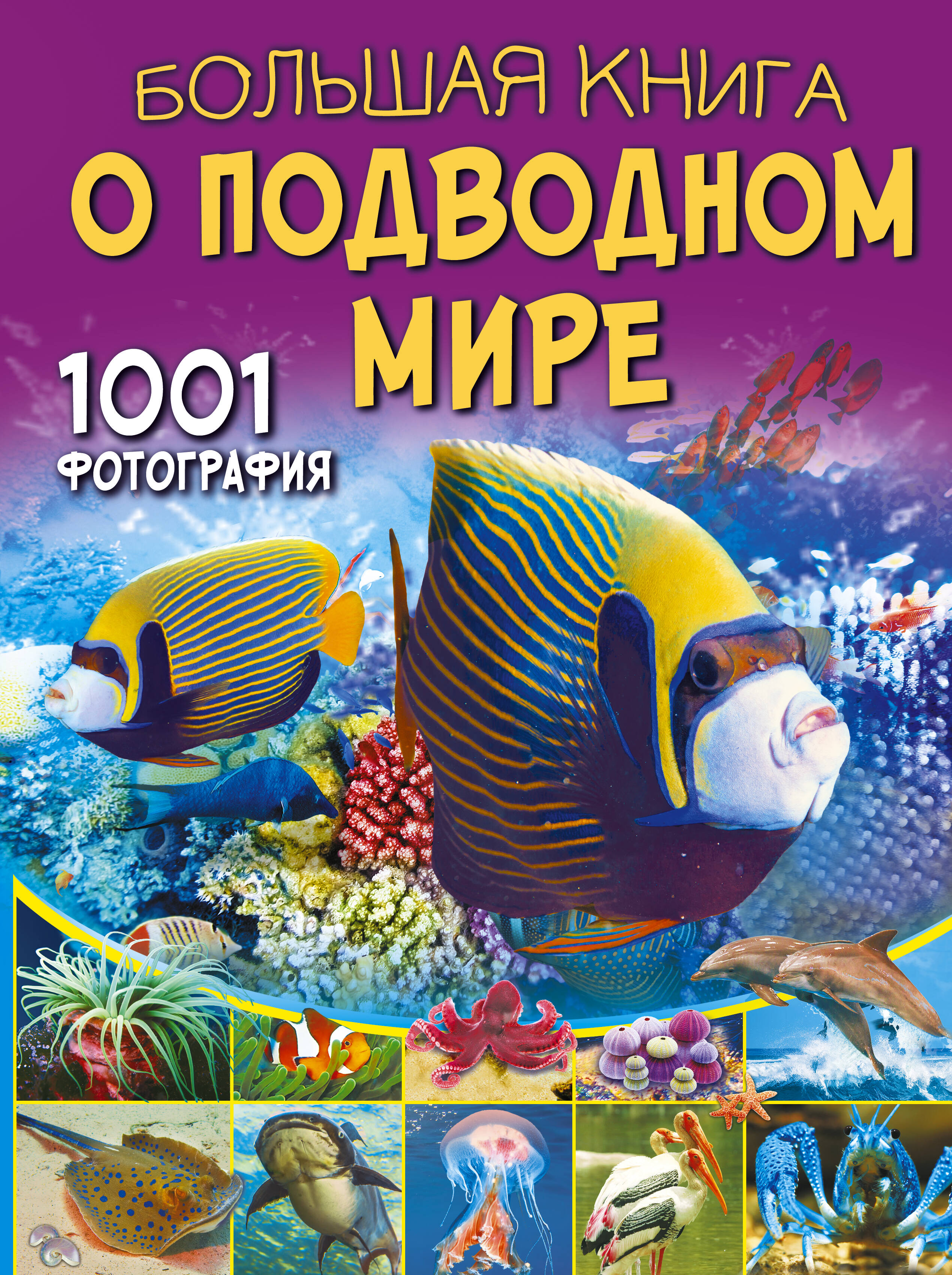 Большая книга о подводном мире. 1001 фотография 1001 фотография большая книга о растениях резько и в
